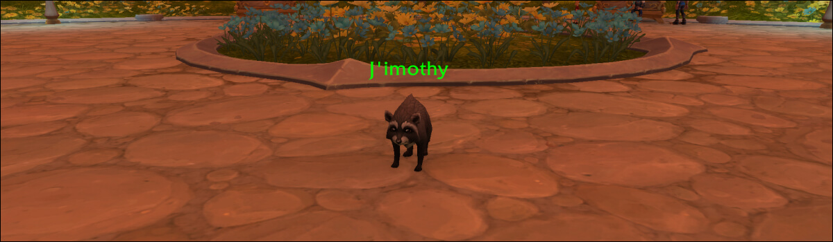 How to Get the J’imothy Pet in WoW Midnight